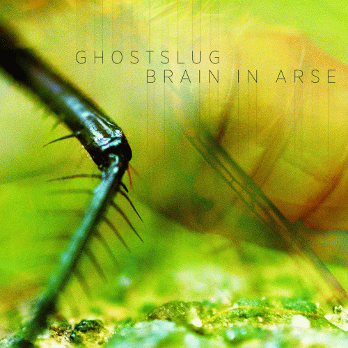Ghostslug : Ghostslug - Brain in Arse